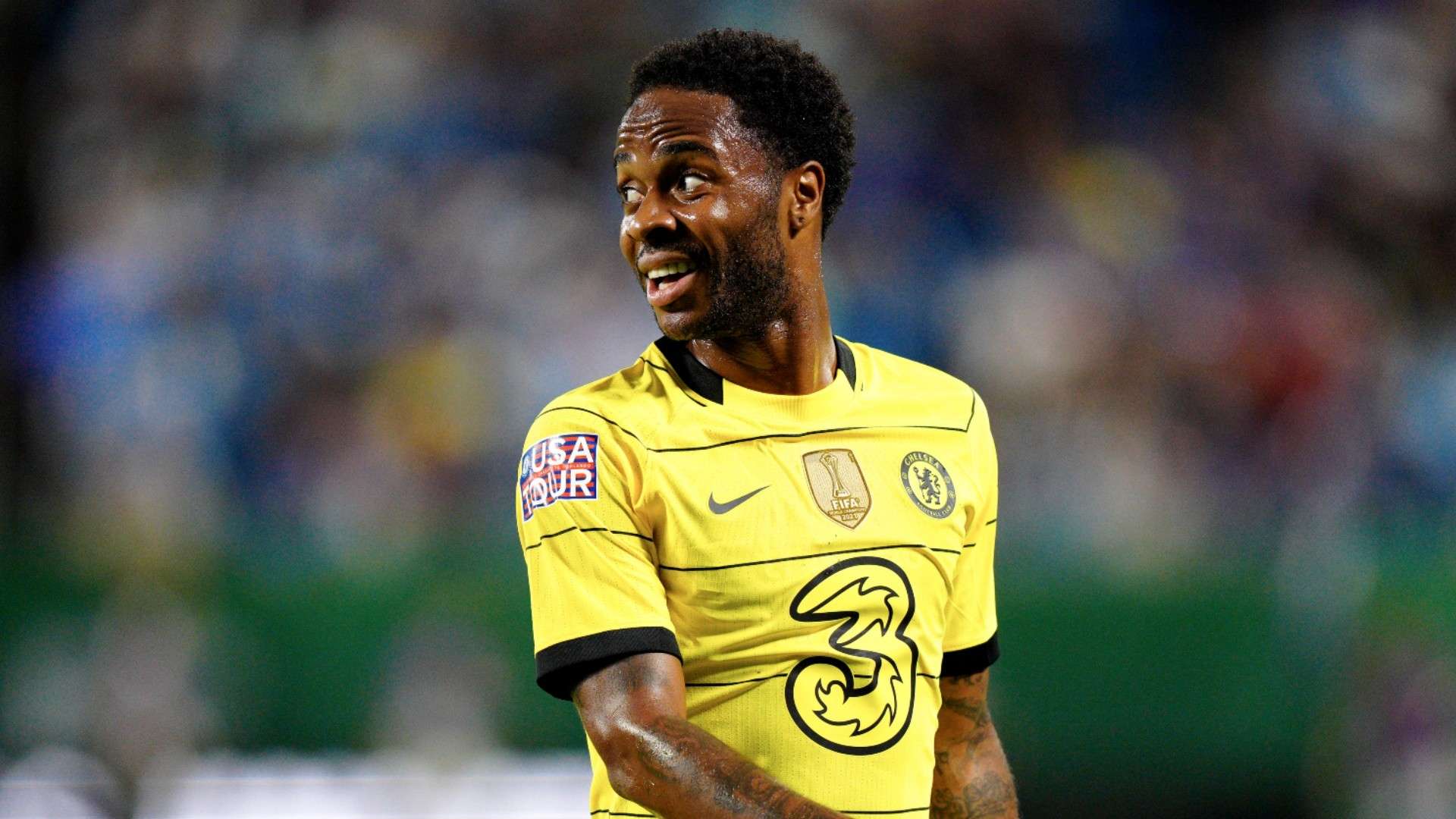 增添了多个 增添了多个