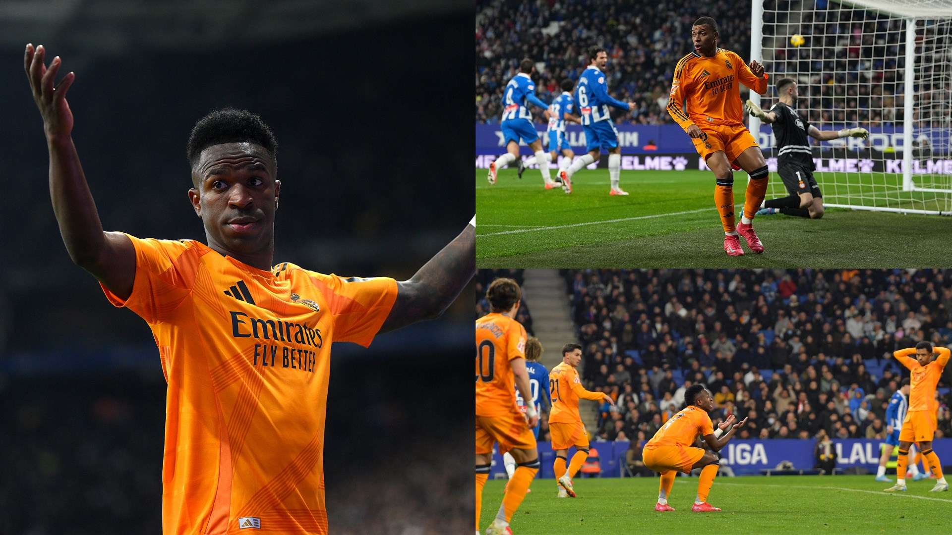 他们可能会 他们可能会